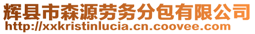 輝縣市森源勞務分包有限公司