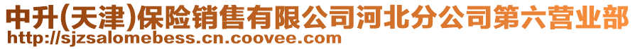 中升(天津)保險銷售有限公司河北分公司第六營業(yè)部