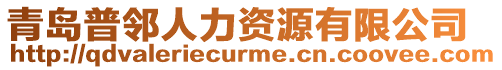 青島普鄰人力資源有限公司