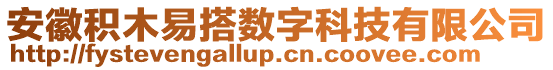 安徽積木易搭數字科技有限公司