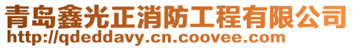 青島鑫光正消防工程有限公司