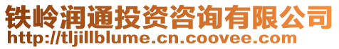 鐵嶺潤通投資咨詢有限公司