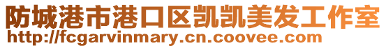 防城港市港口區(qū)凱凱美發(fā)工作室