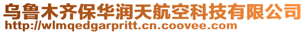 烏魯木齊保華潤天航空科技有限公司
