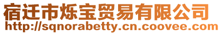 宿遷市爍寶貿易有限公司