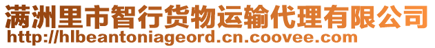 滿洲里市智行貨物運(yùn)輸代理有限公司