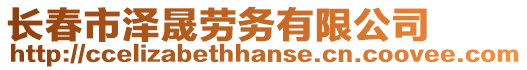 長春市澤晟勞務有限公司