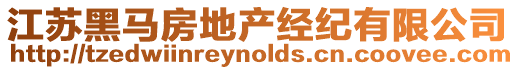 江蘇黑馬房地產(chǎn)經(jīng)紀(jì)有限公司