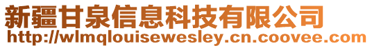 新疆甘泉信息科技有限公司