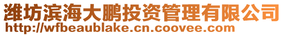 濰坊濱海大鵬投資管理有限公司