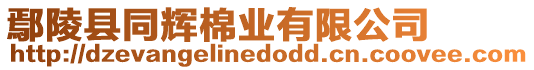 鄢陵縣同輝棉業(yè)有限公司