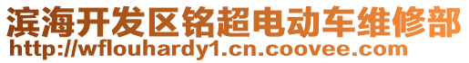 濱海開發(fā)區(qū)銘超電動車維修部