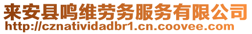 來安縣鳴維勞務服務有限公司