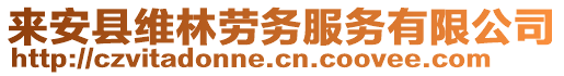 來(lái)安縣維林勞務(wù)服務(wù)有限公司
