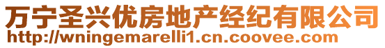 萬(wàn)寧圣興優(yōu)房地產(chǎn)經(jīng)紀(jì)有限公司