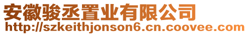 安徽駿丞置業有限公司