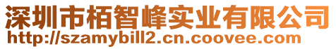 深圳市栢智峰實(shí)業(yè)有限公司