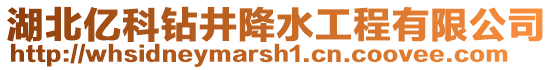 湖北億科鉆井降水工程有限公司