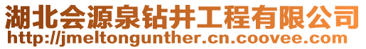 湖北會源泉鉆井工程有限公司