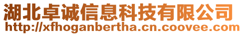 湖北卓誠信息科技有限公司