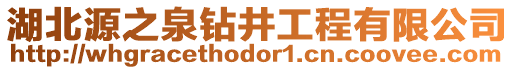 湖北源之泉鉆井工程有限公司