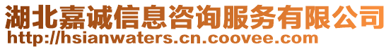 湖北嘉誠信息咨詢服務有限公司