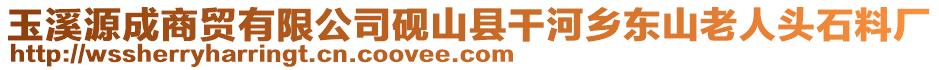 玉溪源成商貿有限公司硯山縣干河鄉東山老人頭石料廠