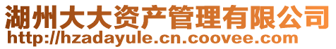 湖州大大資產(chǎn)管理有限公司