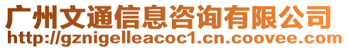 廣州文通信息咨詢有限公司