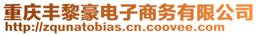 重慶豐黎豪電子商務(wù)有限公司