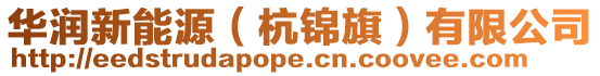 華潤新能源(杭錦旗)有限公司