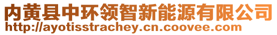 內黃縣中環領智新能源有限公司