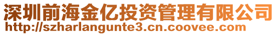 深圳前海金億投資管理有限公司