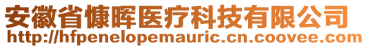 安徽省慷暉醫(yī)療科技有限公司