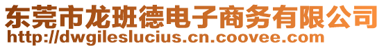 東莞市龍班德電子商務(wù)有限公司