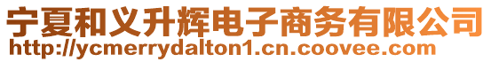 寧夏和義升輝電子商務有限公司