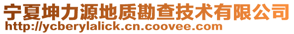 寧夏坤力源地質(zhì)勘查技術(shù)有限公司