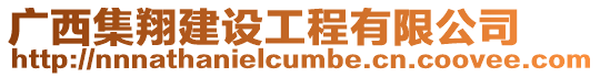 廣西集翔建設(shè)工程有限公司