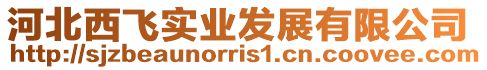 河北西飛實業發展有限公司