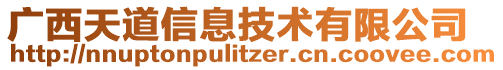 廣西天道信息技術有限公司