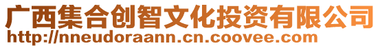廣西集合創智文化投資有限公司