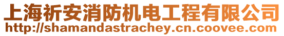 上海祈安消防機(jī)電工程有限公司