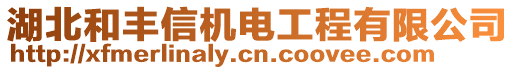 湖北和豐信機電工程有限公司