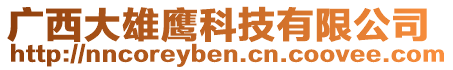 廣西大雄鷹科技有限公司