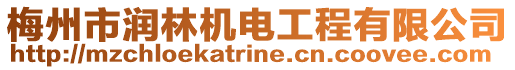 梅州市潤林機(jī)電工程有限公司