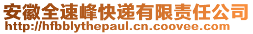 安徽全速峰快遞有限責(zé)任公司