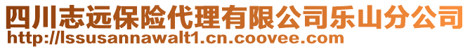 四川志遠保險代理有限公司樂山分公司