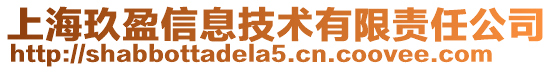 上海玖盈信息技術有限責任公司