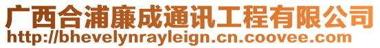 廣西合浦廉成通訊工程有限公司