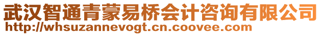 武漢智通青蒙易橋會(huì)計(jì)咨詢有限公司